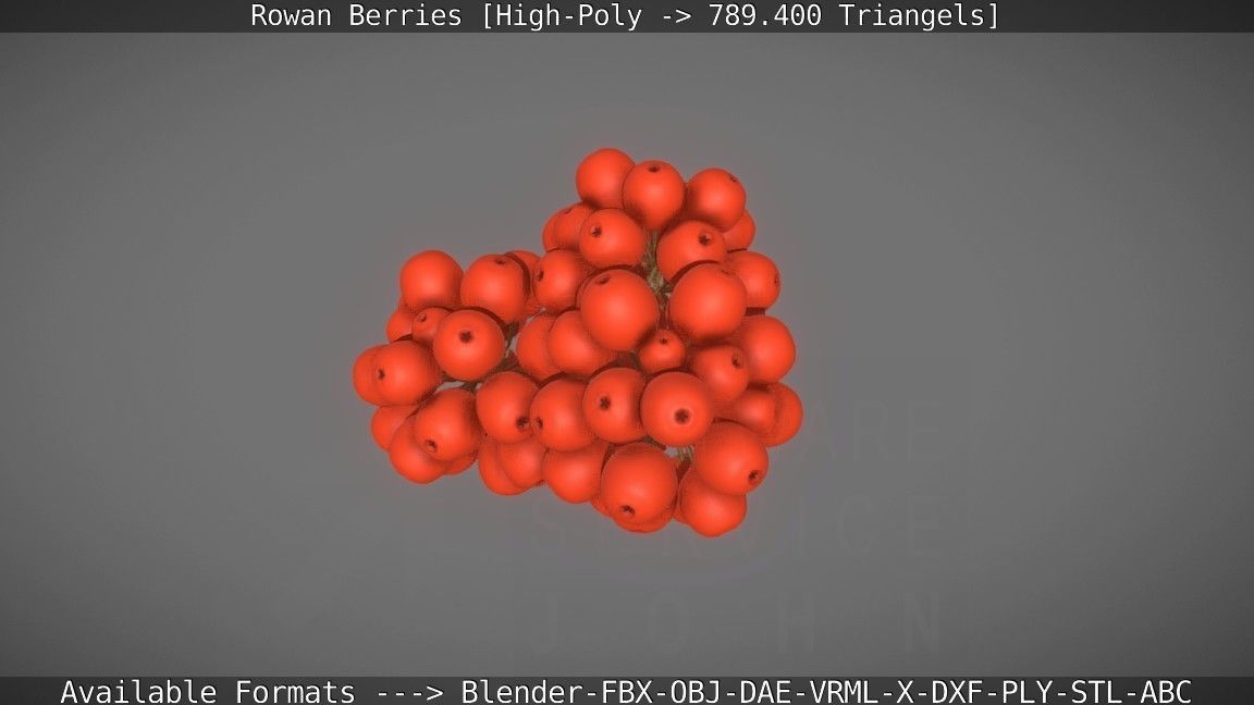 Rowan Berries High Poly 3D model_3