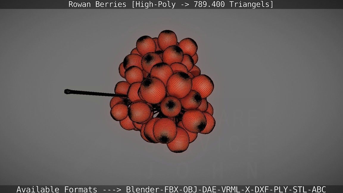 Rowan Berries High Poly 3D model_116