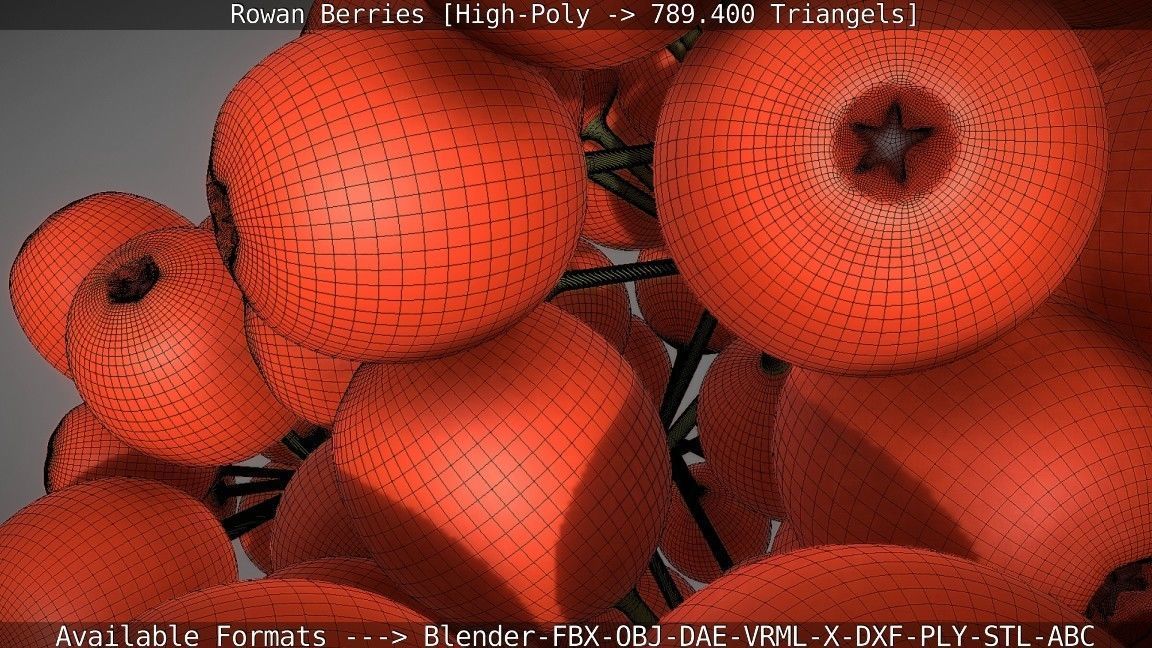 Rowan Berries High Poly 3D model_82