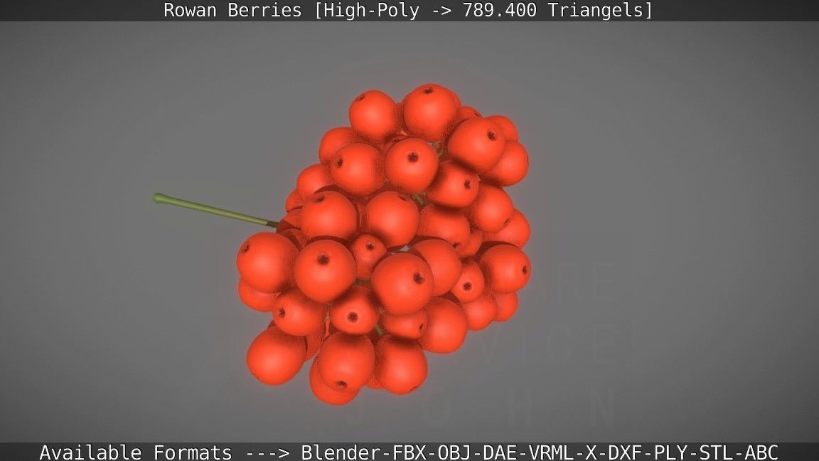 Rowan Berries High Poly 3D model_34