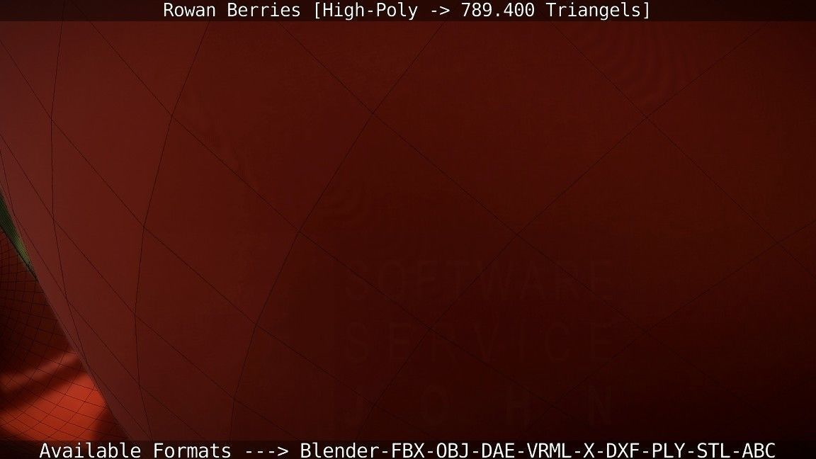 Rowan Berries High Poly 3D model_87