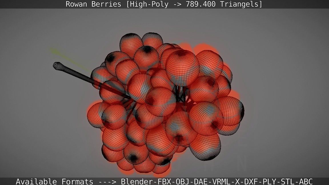 Rowan Berries High Poly 3D model_53