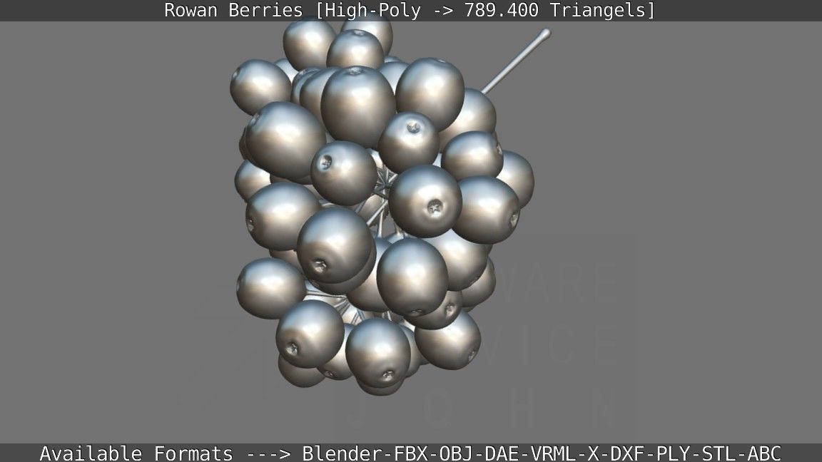 Rowan Berries High Poly 3D model_144