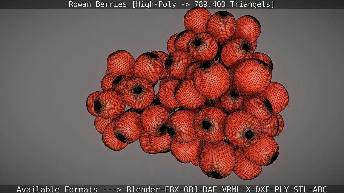 Rowan Berries High Poly 3D model_113