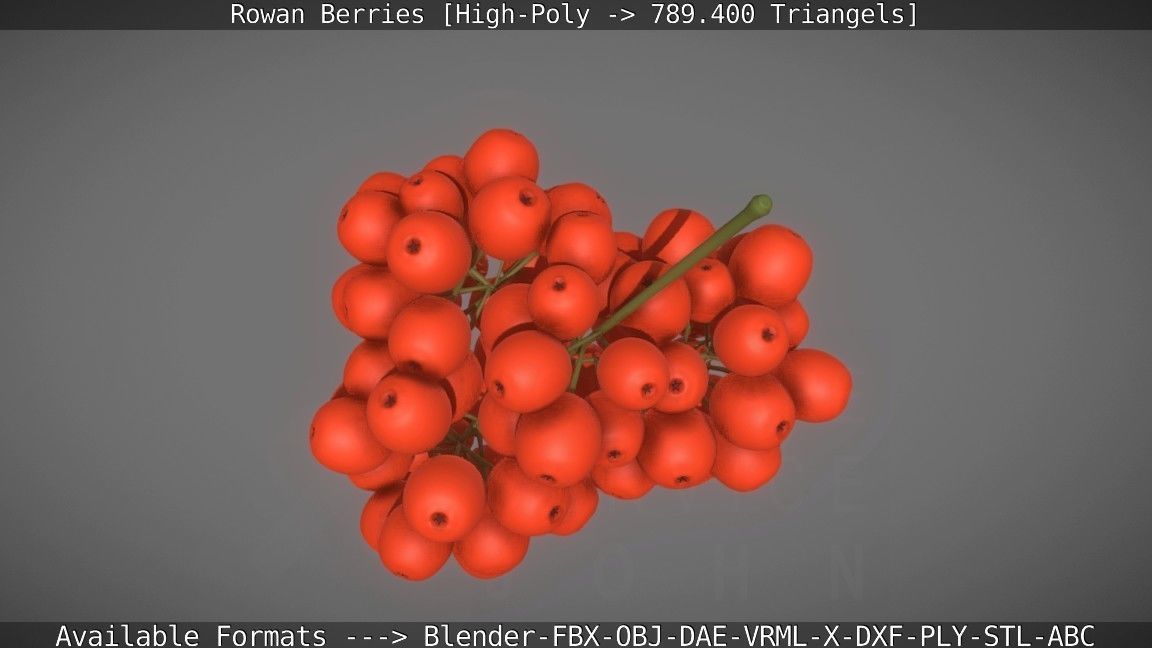 Rowan Berries High Poly 3D model_17