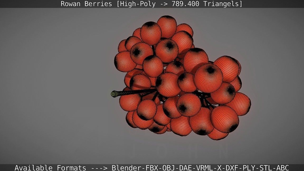Rowan Berries High Poly 3D model_122