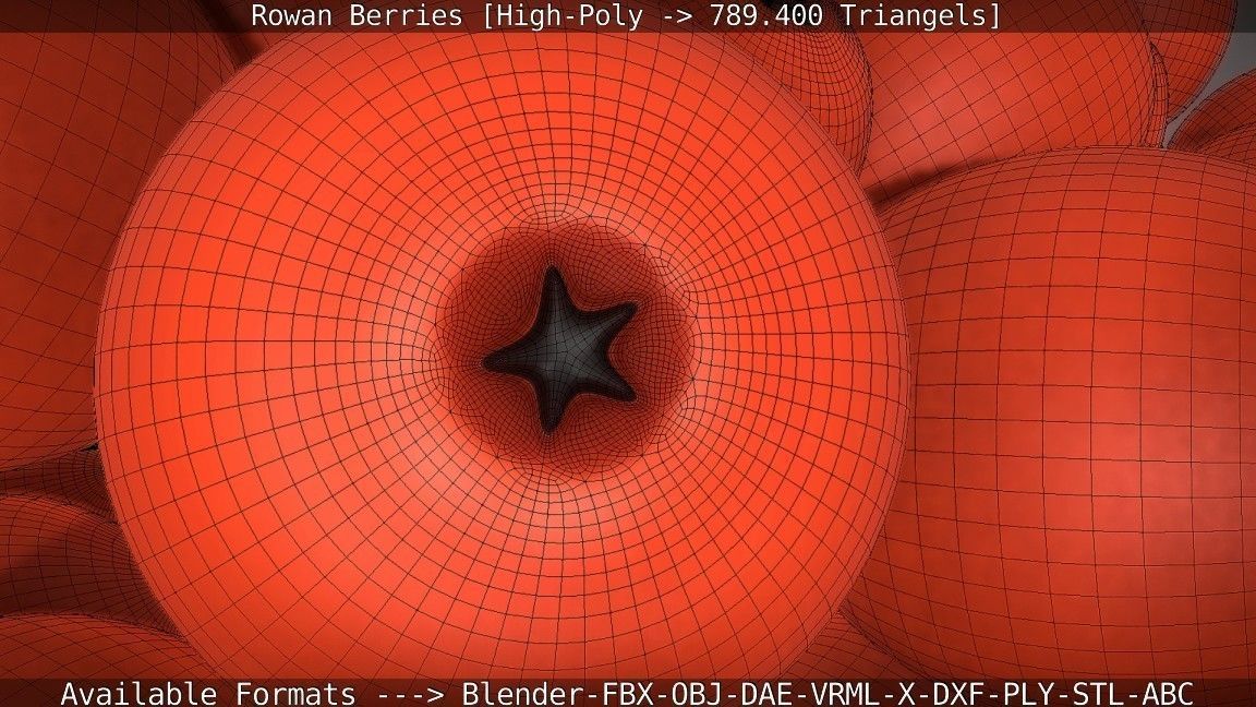 Rowan Berries High Poly 3D model_1
