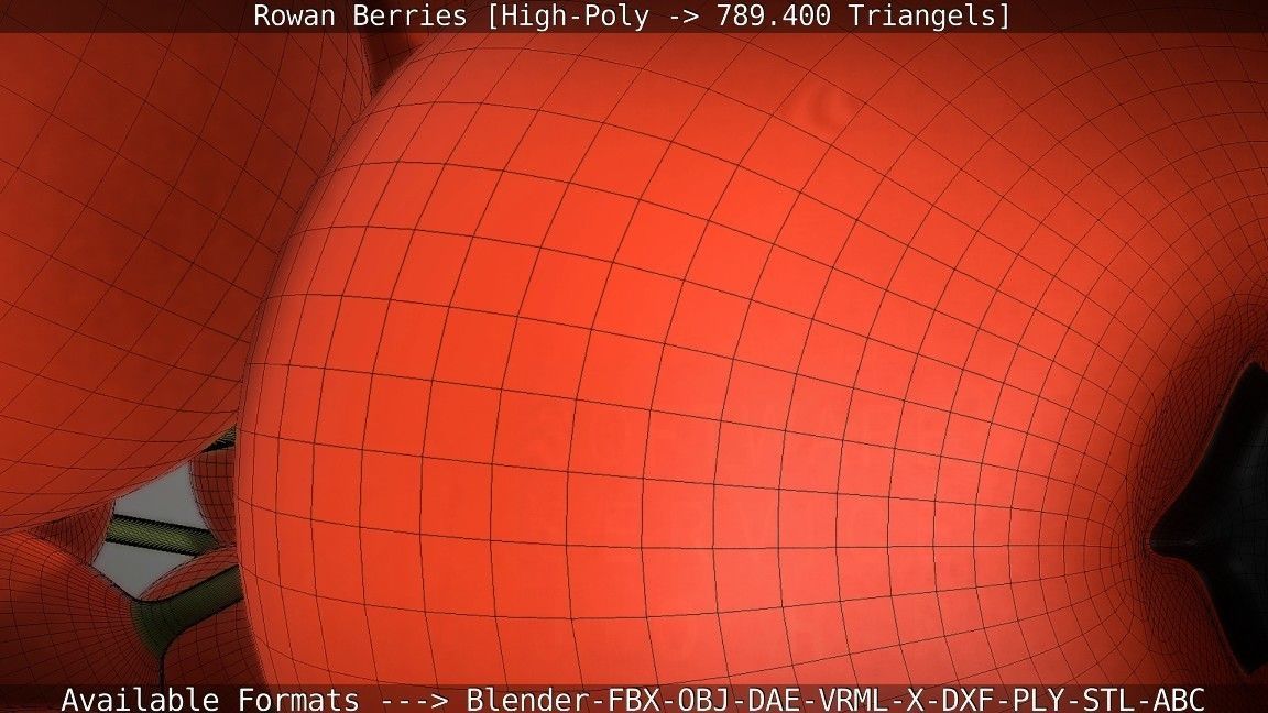 Rowan Berries High Poly 3D model_63