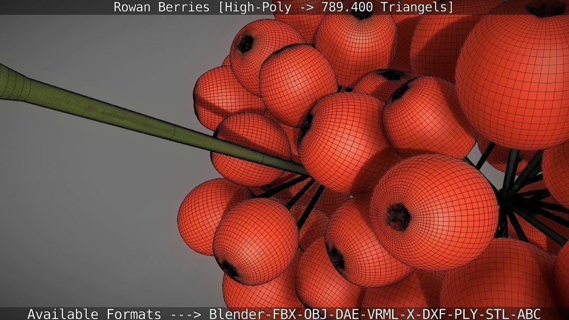 Rowan Berries High Poly 3D model_128