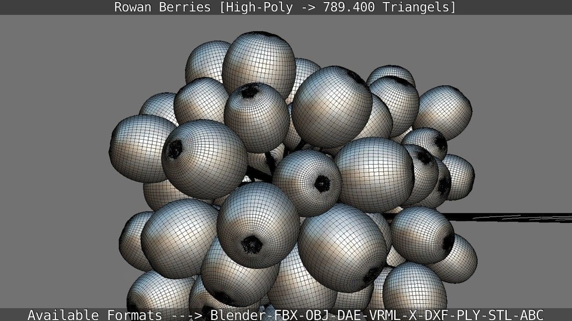 Rowan Berries High Poly 3D model_136