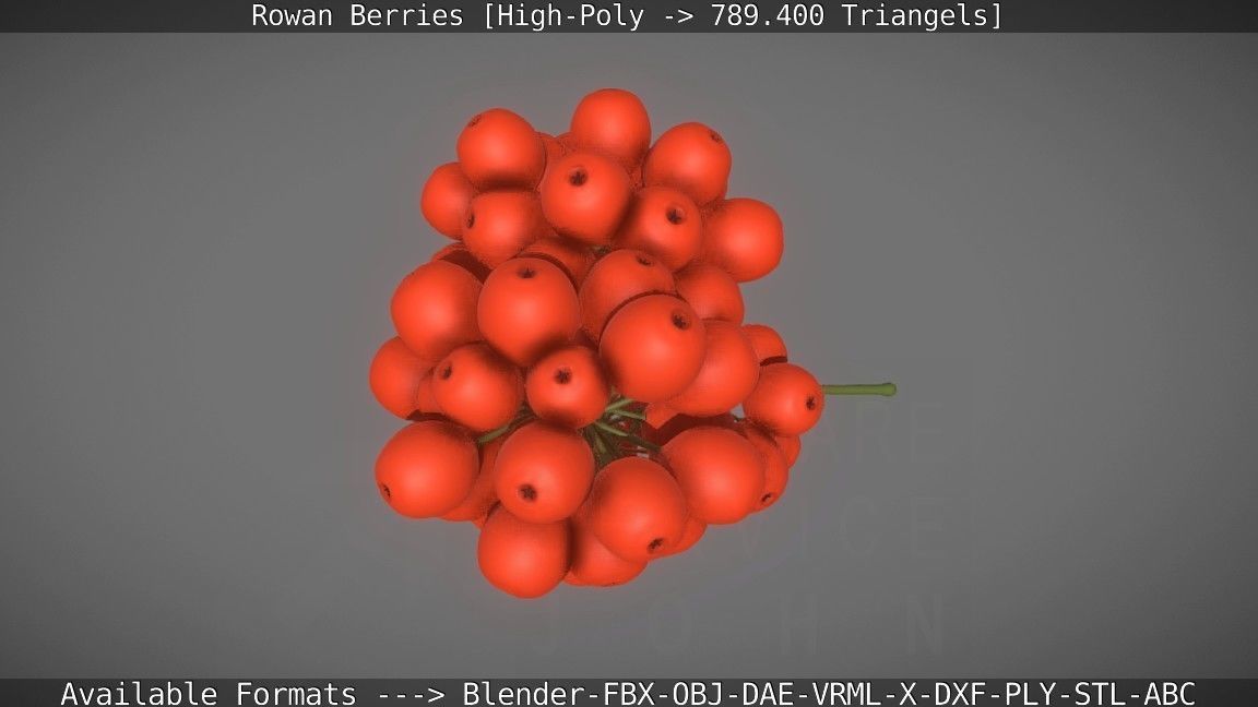 Rowan Berries High Poly 3D model_25