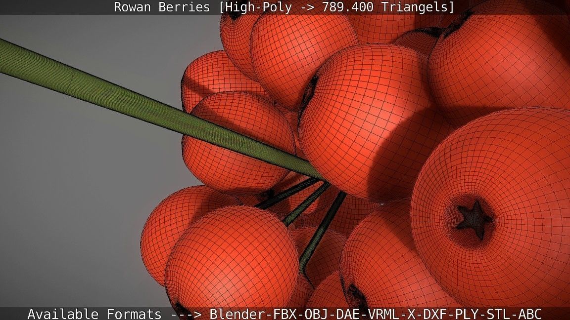 Rowan Berries High Poly 3D model_133