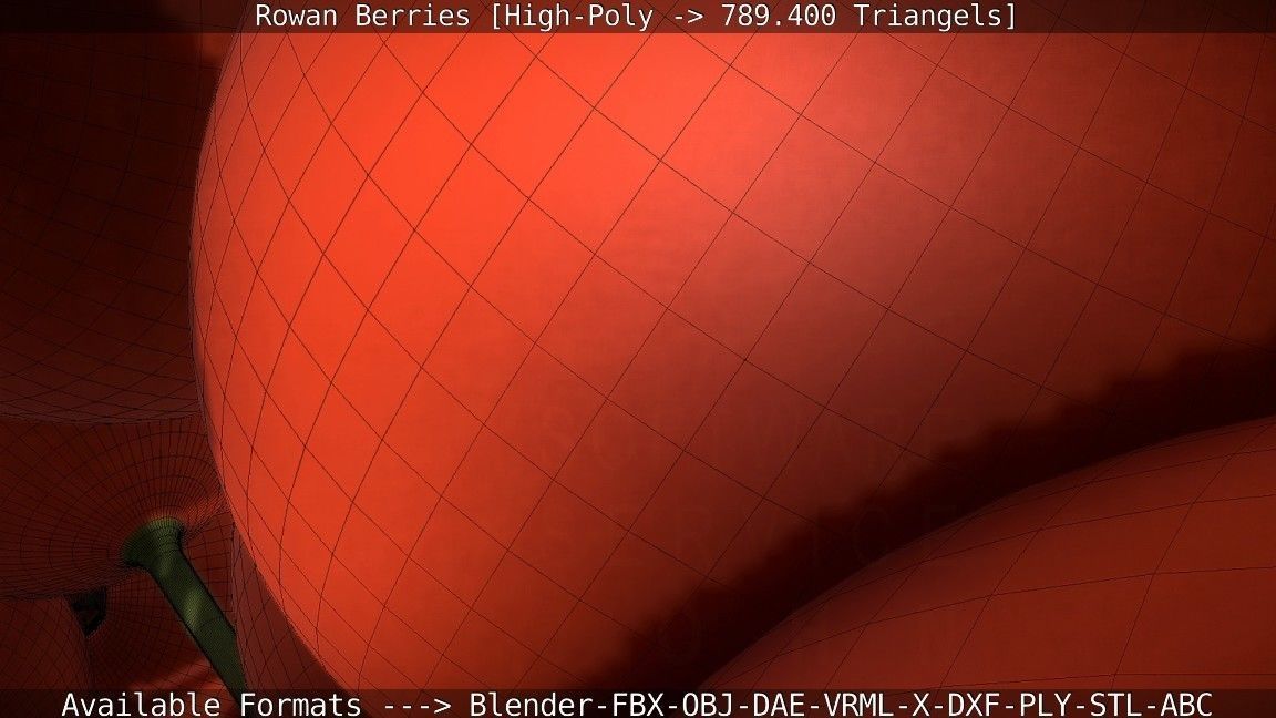 Rowan Berries High Poly 3D model_81