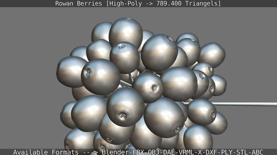 Rowan Berries High Poly 3D model_134