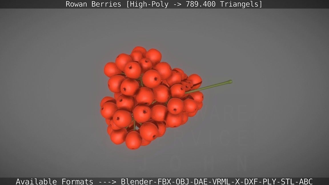 Rowan Berries High Poly 3D model_14