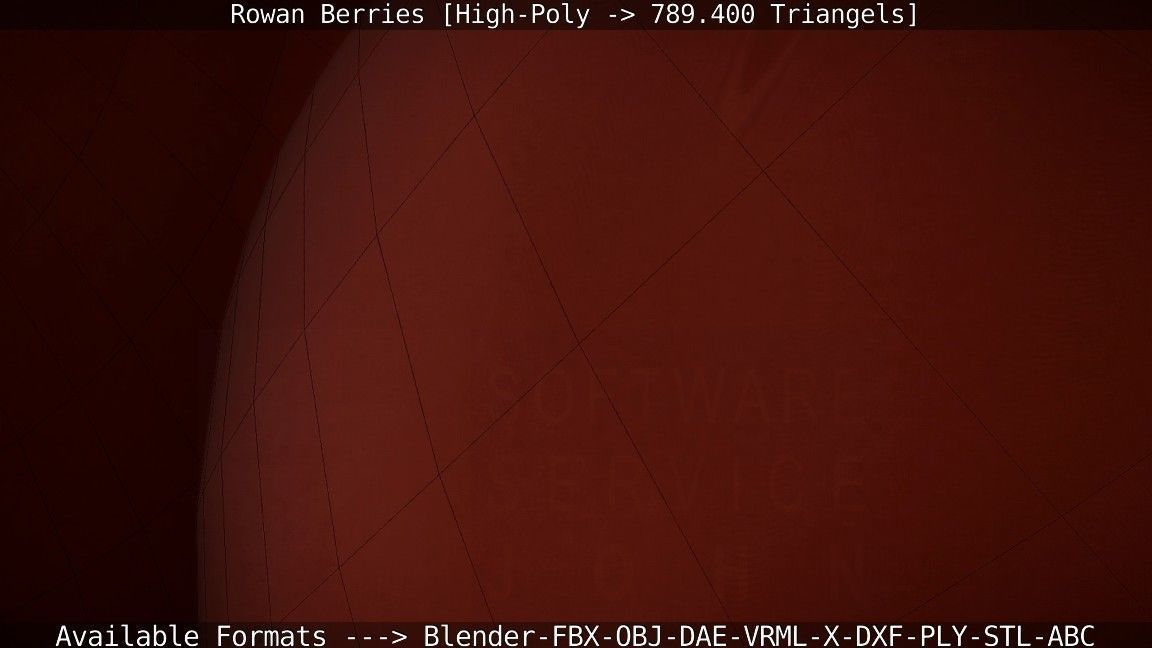 Rowan Berries High Poly 3D model_88