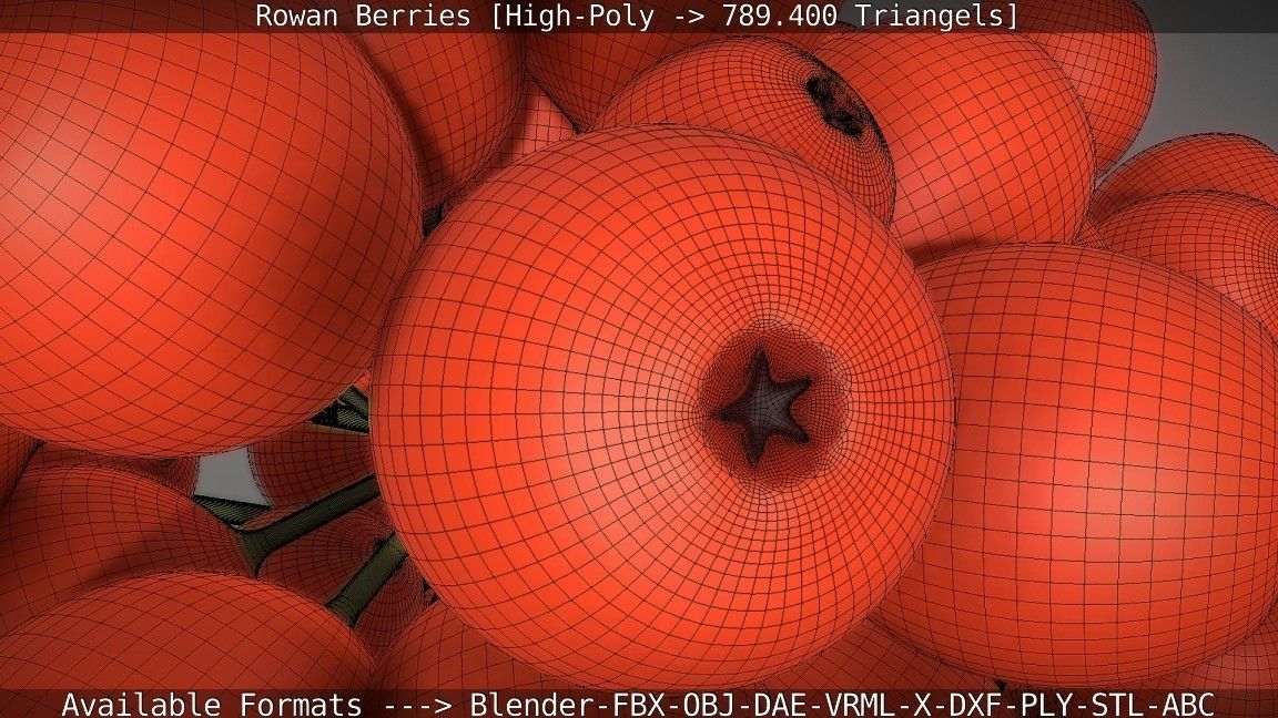 Rowan Berries High Poly 3D model_64