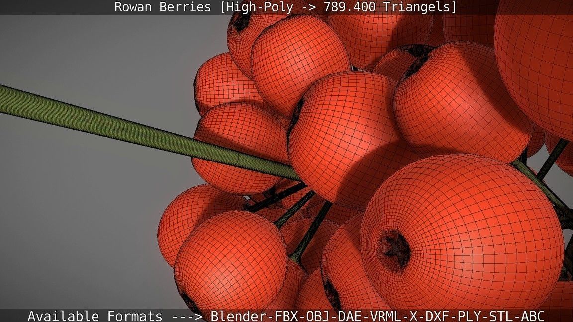 Rowan Berries High Poly 3D model_132