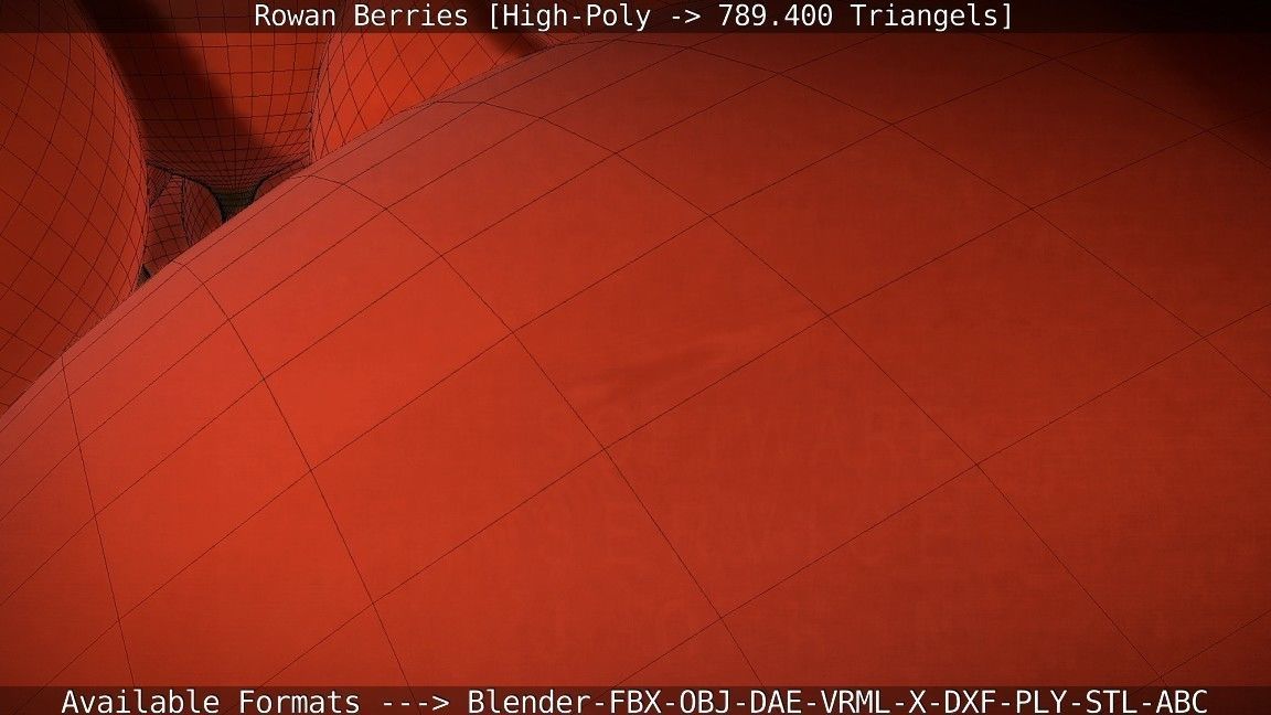 Rowan Berries High Poly 3D model_92