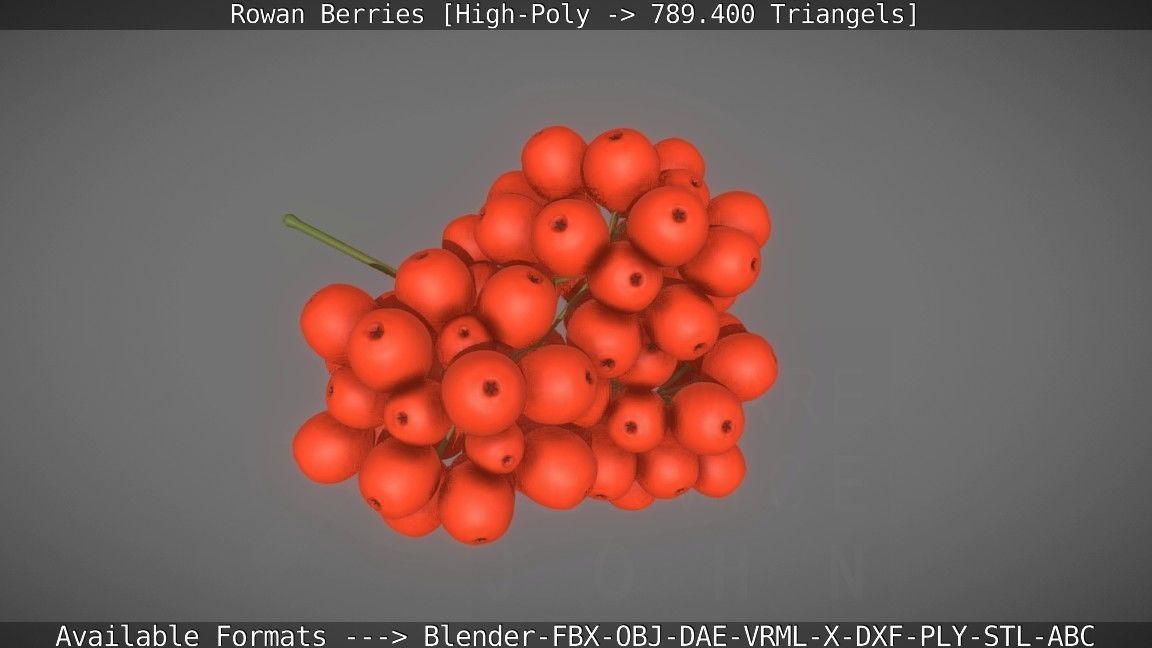 Rowan Berries High Poly 3D model_37