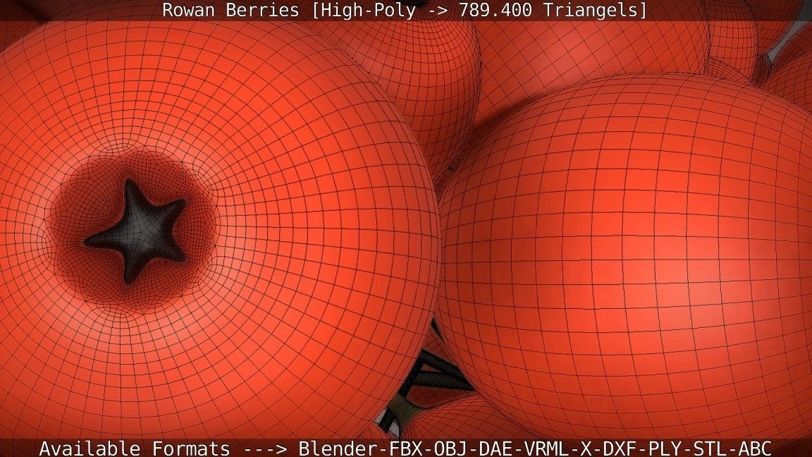 Rowan Berries High Poly 3D model_72