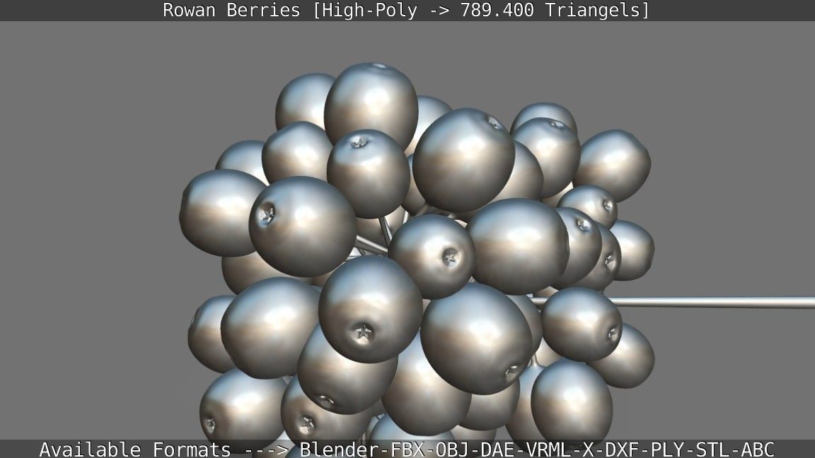 Rowan Berries High Poly 3D model_139