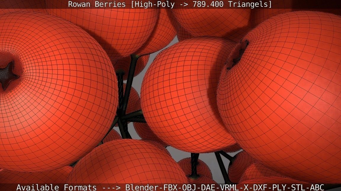 Rowan Berries High Poly 3D model_110