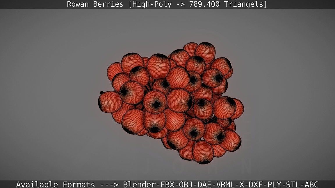 Rowan Berries High Poly 3D model_124