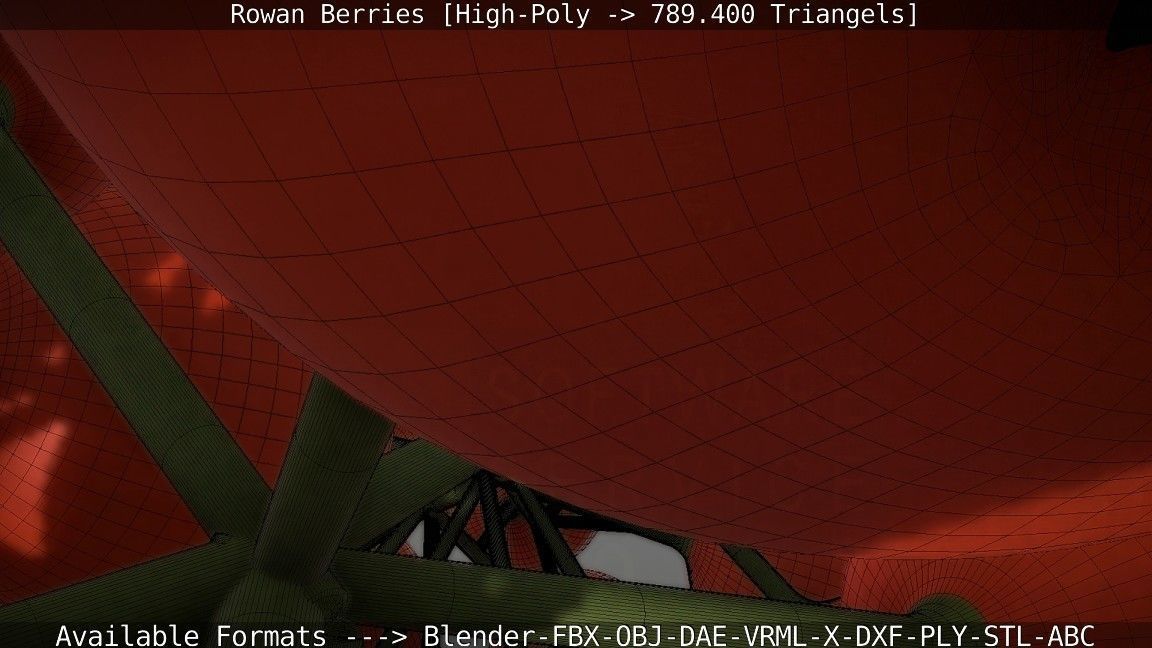 Rowan Berries High Poly 3D model_93