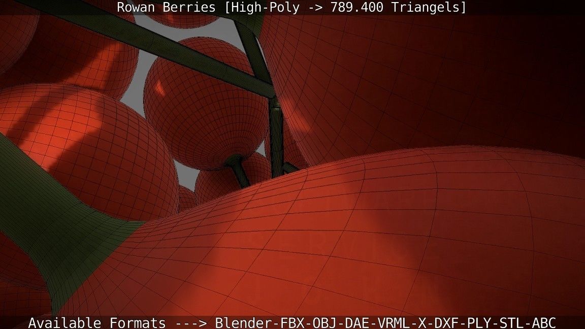 Rowan Berries High Poly 3D model_90