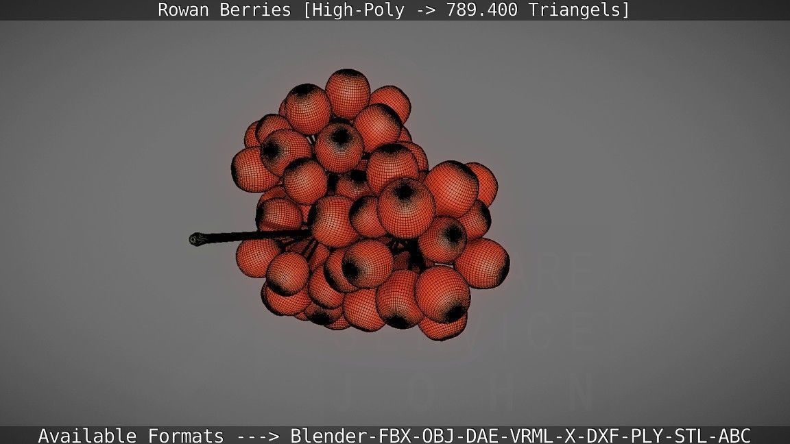 Rowan Berries High Poly 3D model_120
