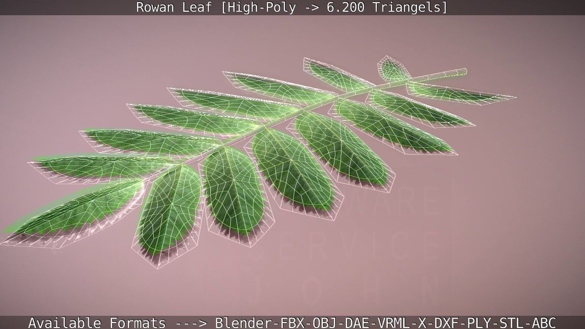 Rowan Berries Leaf High Poly 3D model_100