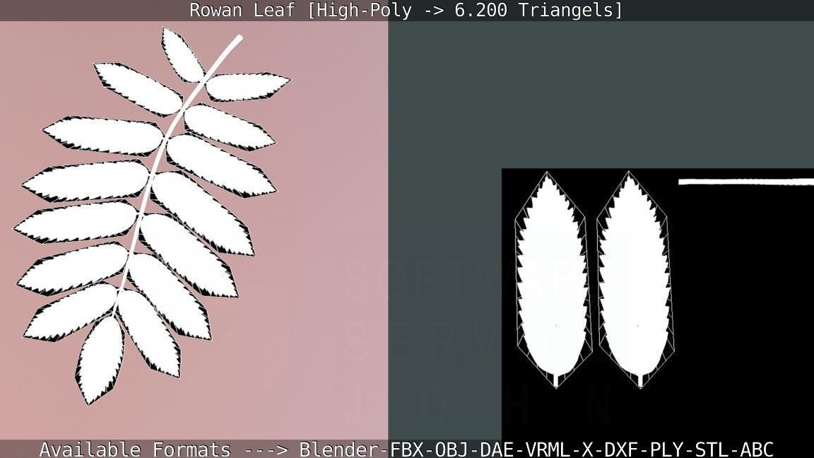 Rowan Berries Leaf High Poly 3D model_4