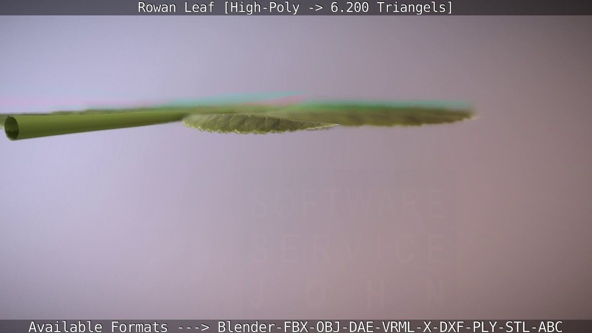 Rowan Berries Leaf High Poly 3D model_47