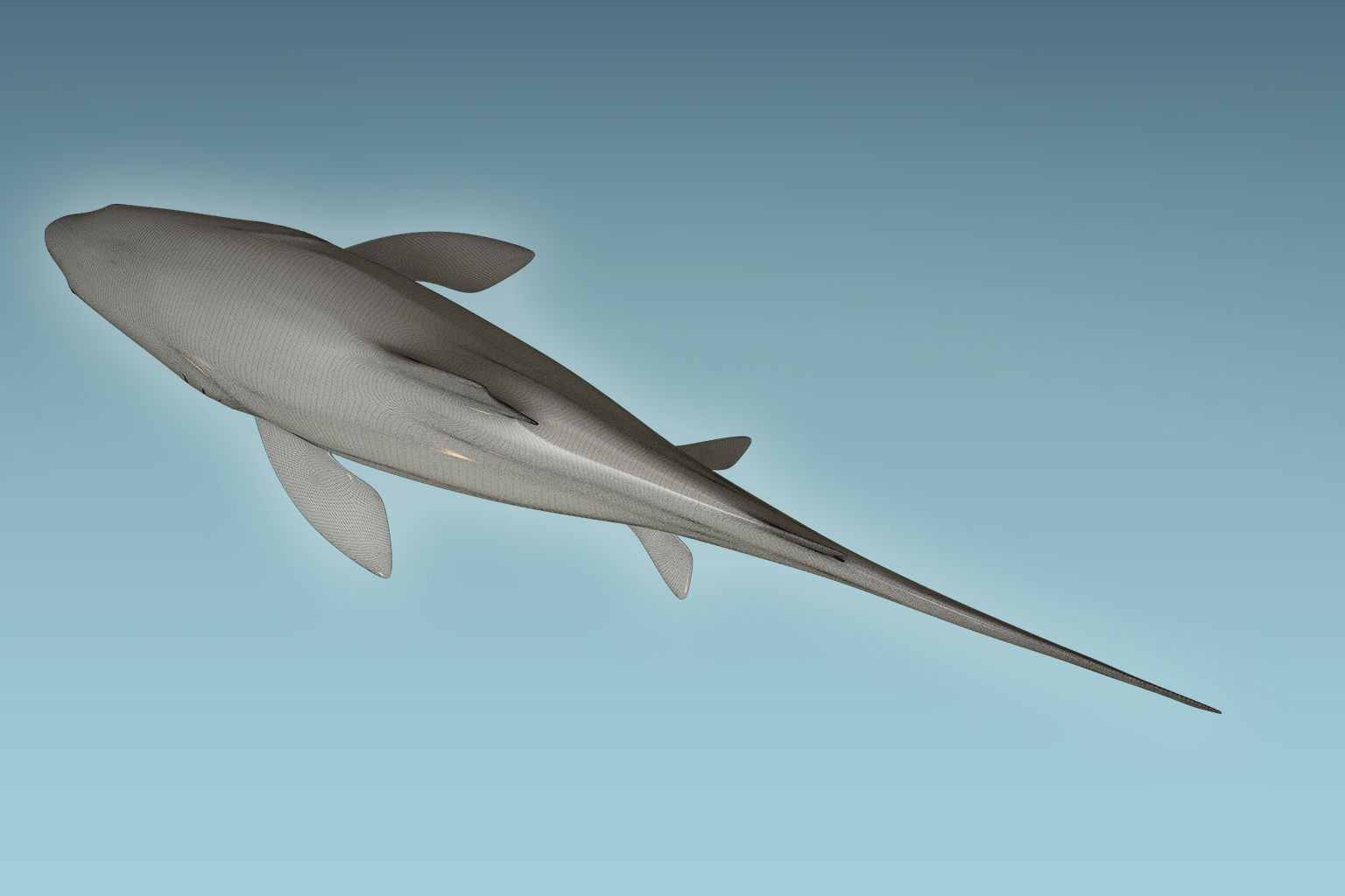 Leopark Shark 3D model_8