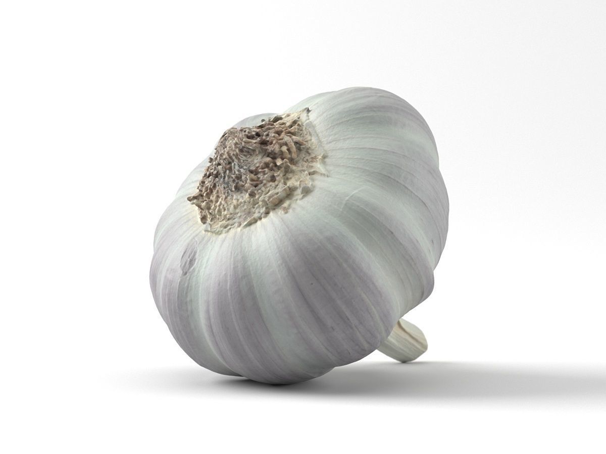 Photorealistic Garlic 3D Scan 3D model_2