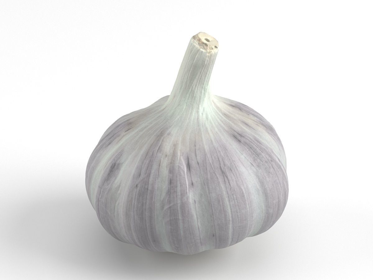 Photorealistic Garlic 3D Scan 3D model_4