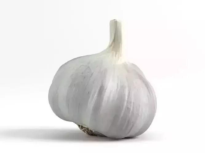 Photorealistic Garlic 3D Scan