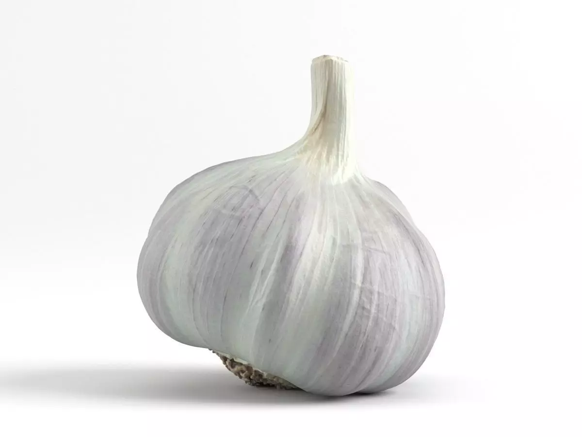 Photorealistic Garlic 3D Scan 3D model_0