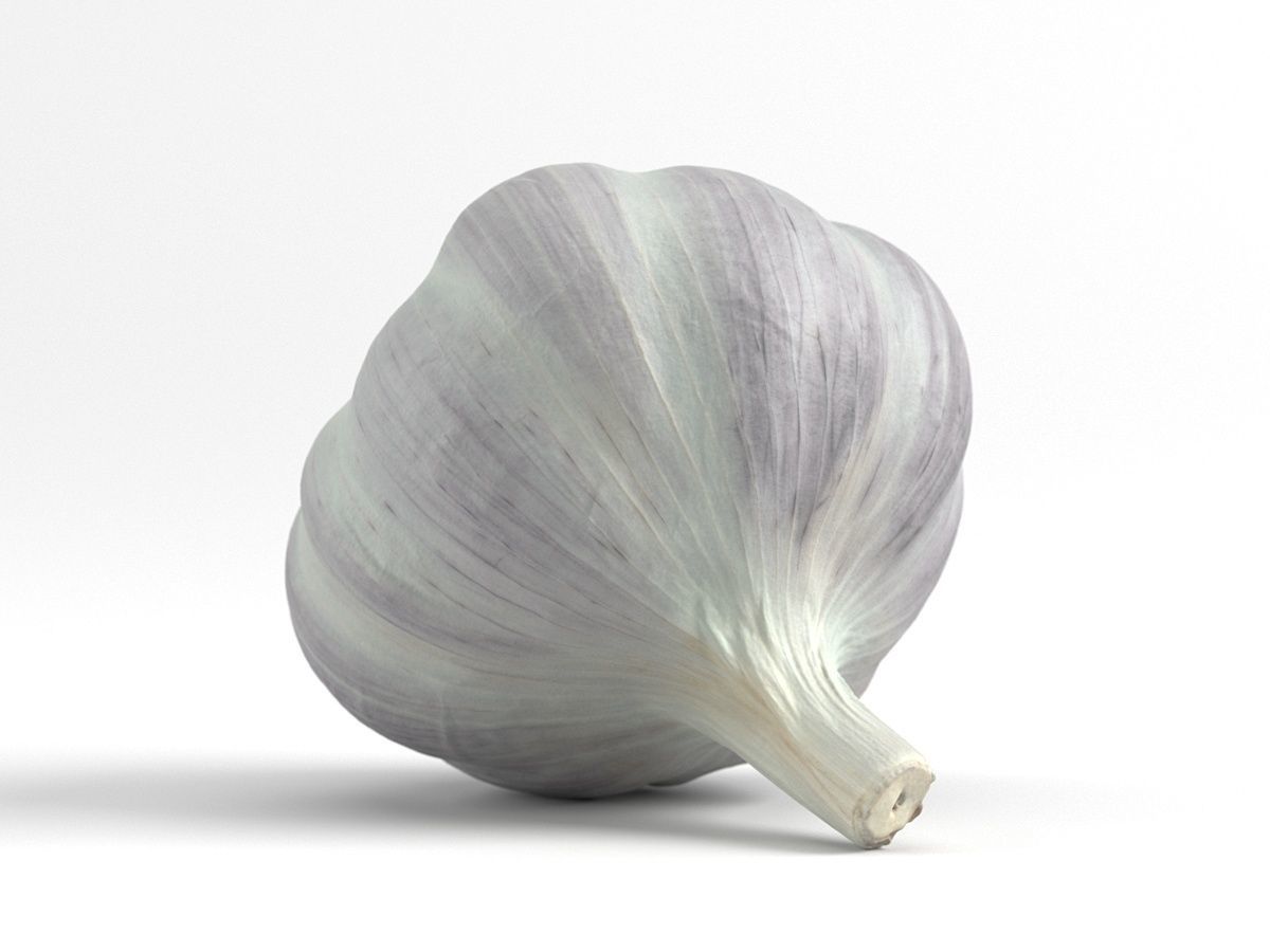 Photorealistic Garlic 3D Scan 3D model_3