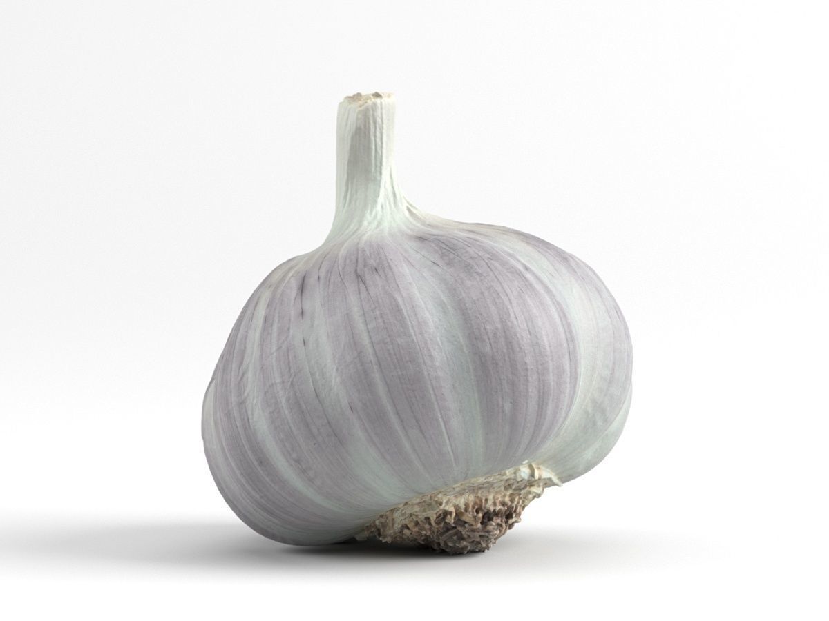 Photorealistic Garlic 3D Scan 3D model_1