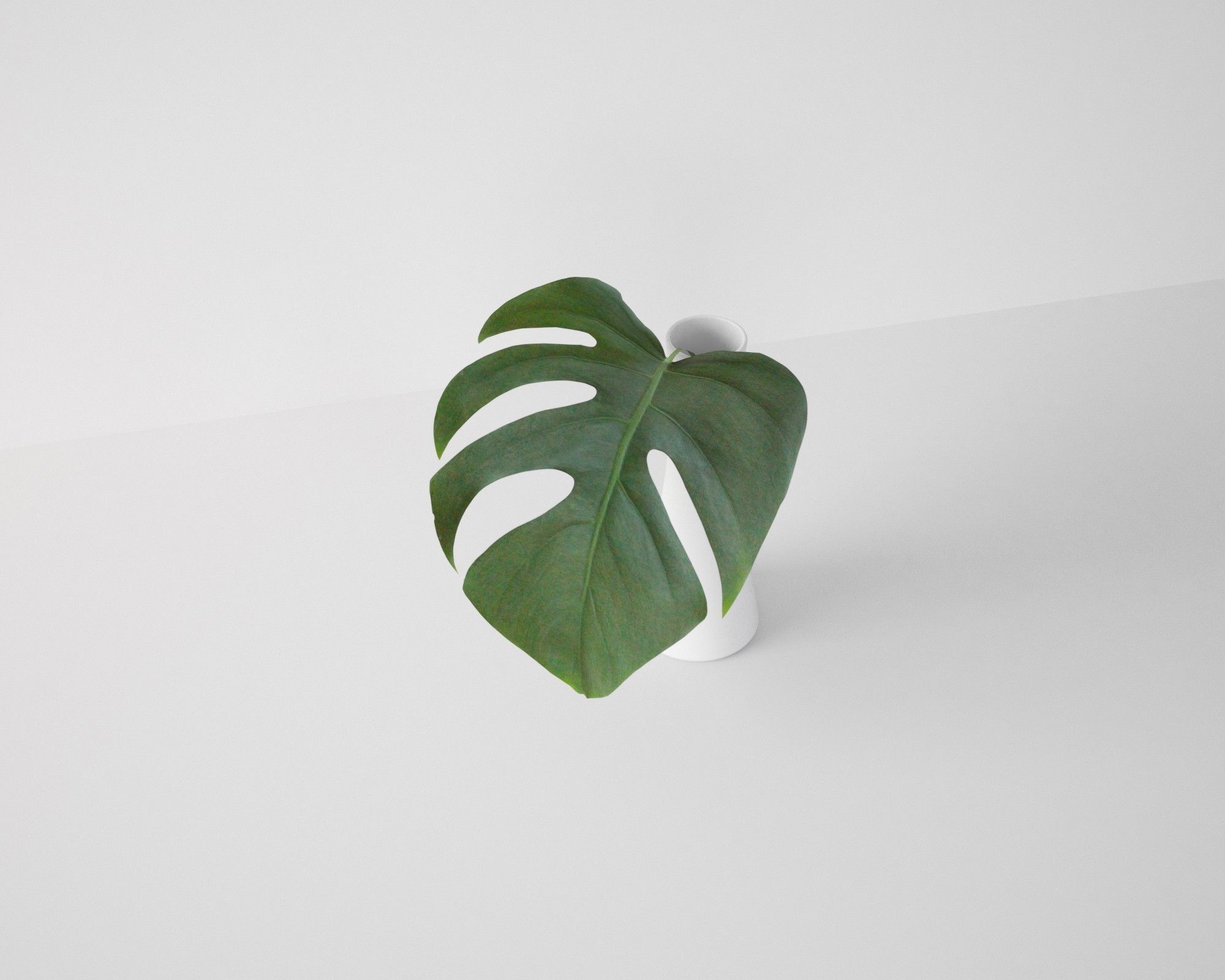 Monstera Leaf 3D model_2