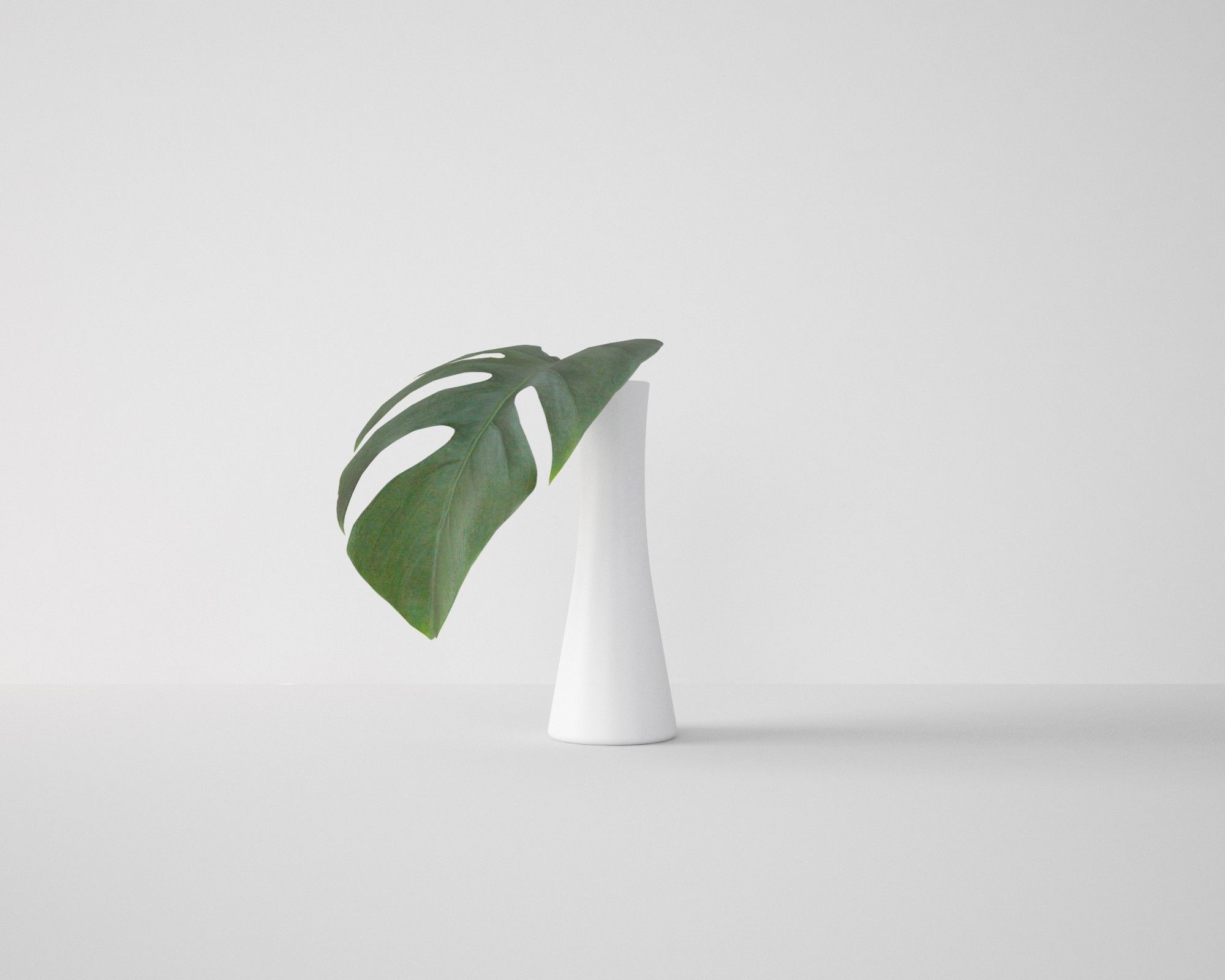 Monstera Leaf 3D model_4