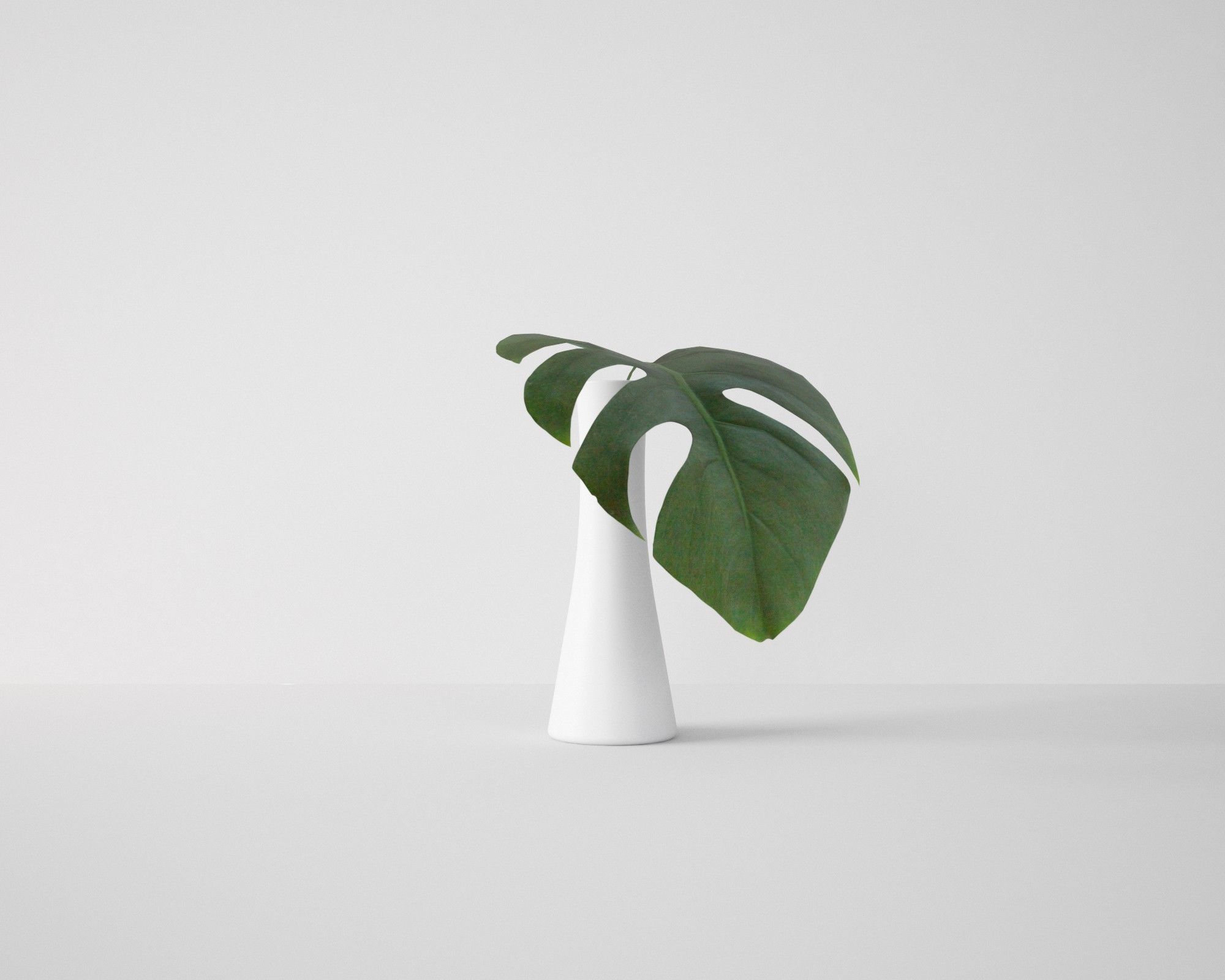 Monstera Leaf 3D model_6