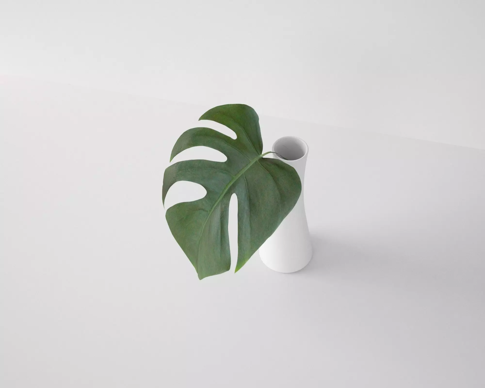 Monstera Leaf 3D model_0