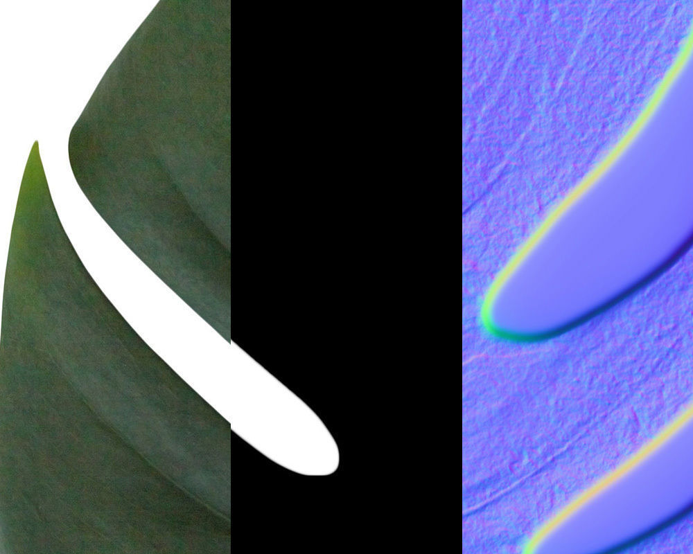 Monstera Leaf 3D model_10