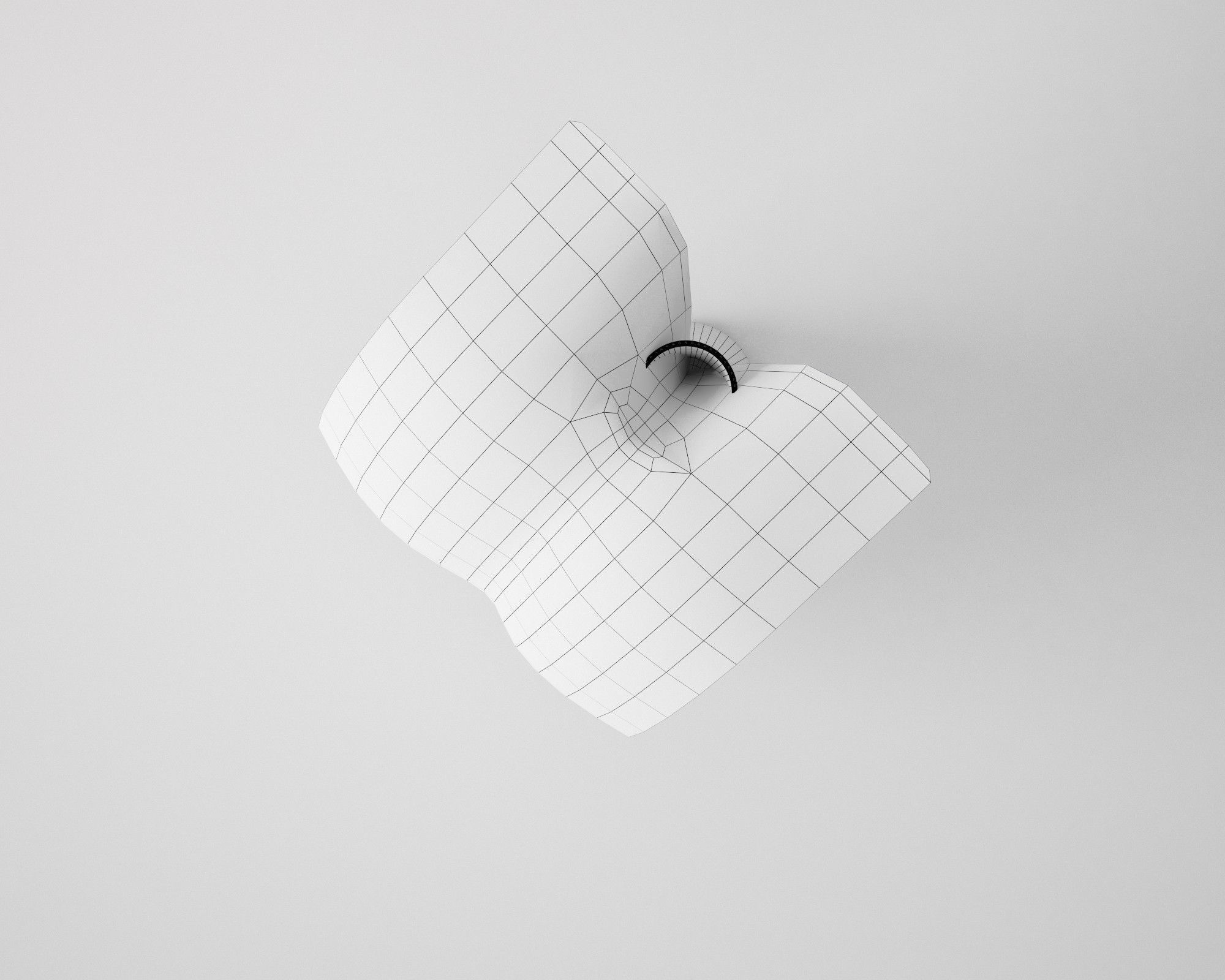 Monstera Leaf 3D model_9