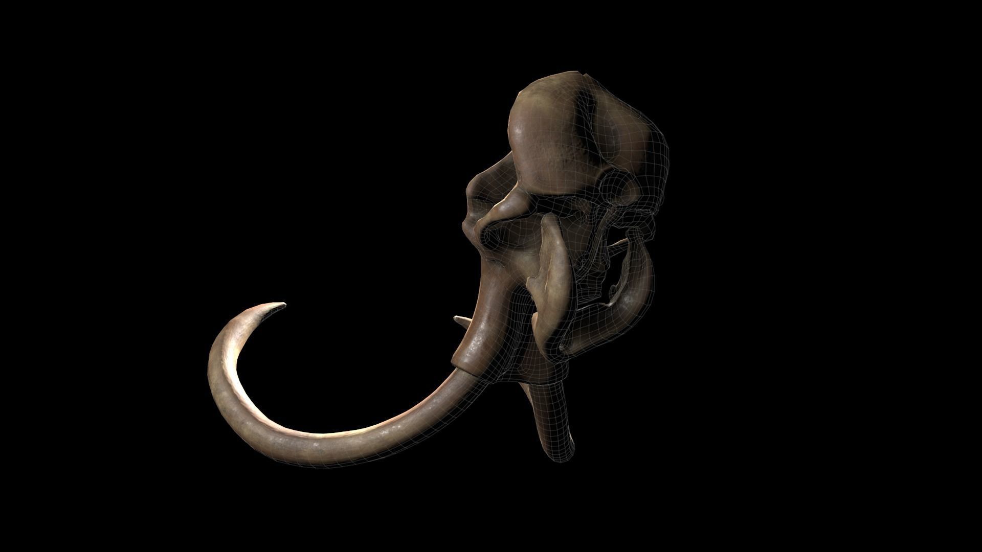 Woollly Mammoth Complete Skeleton System 3D model_5