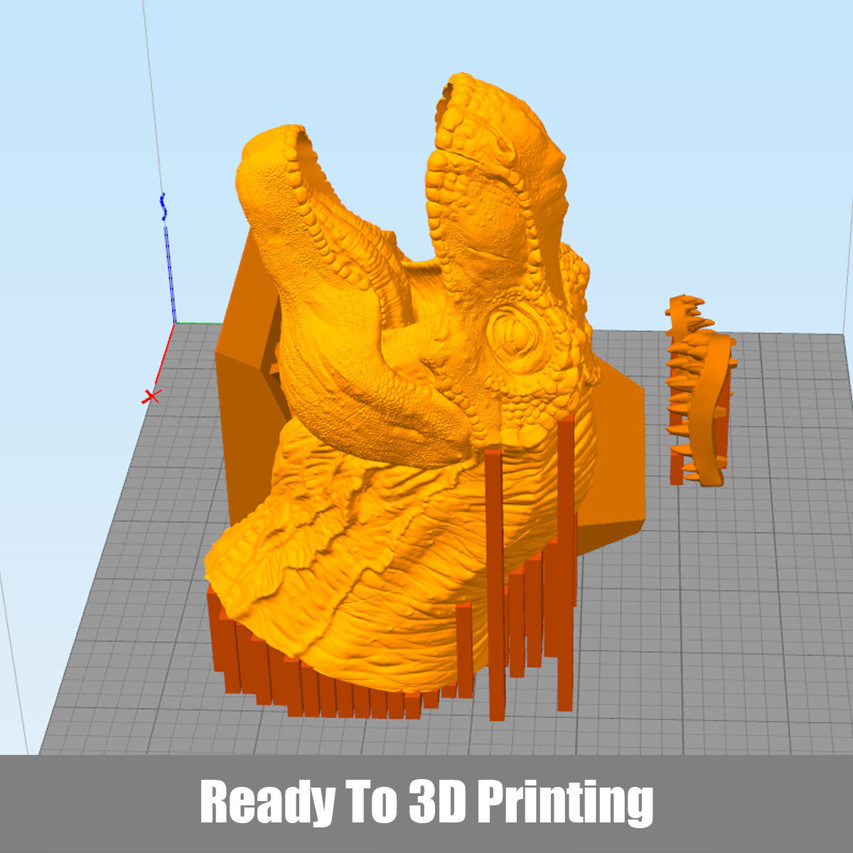 T-rex Tyrannosaurus 3D print model_8