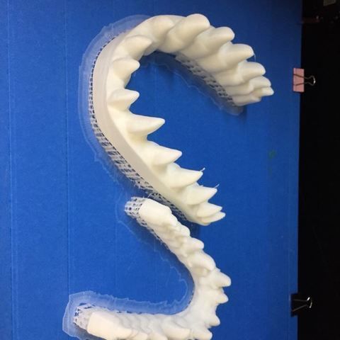 T-rex Tyrannosaurus 3D print model_13